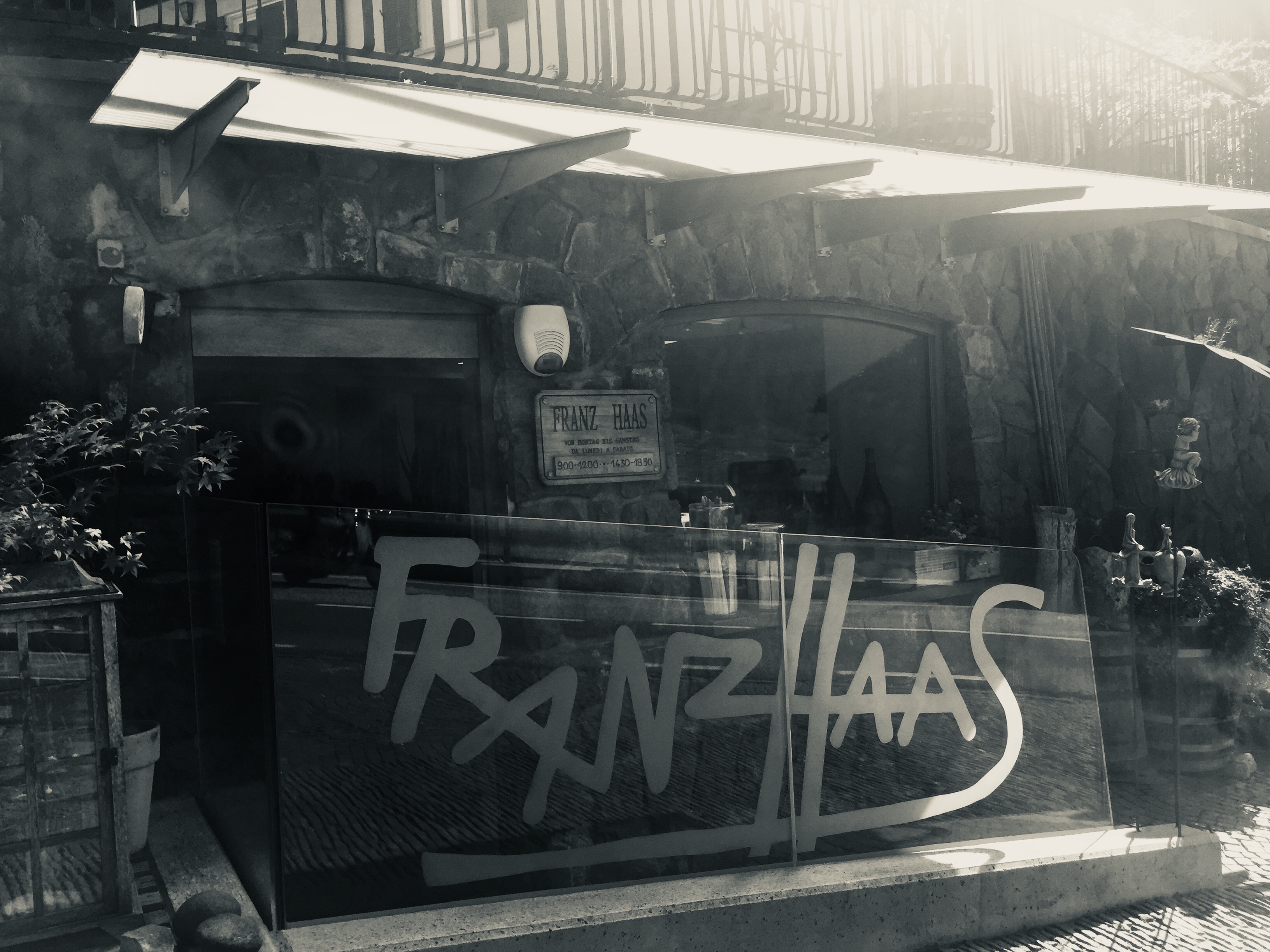vini Franz Haas