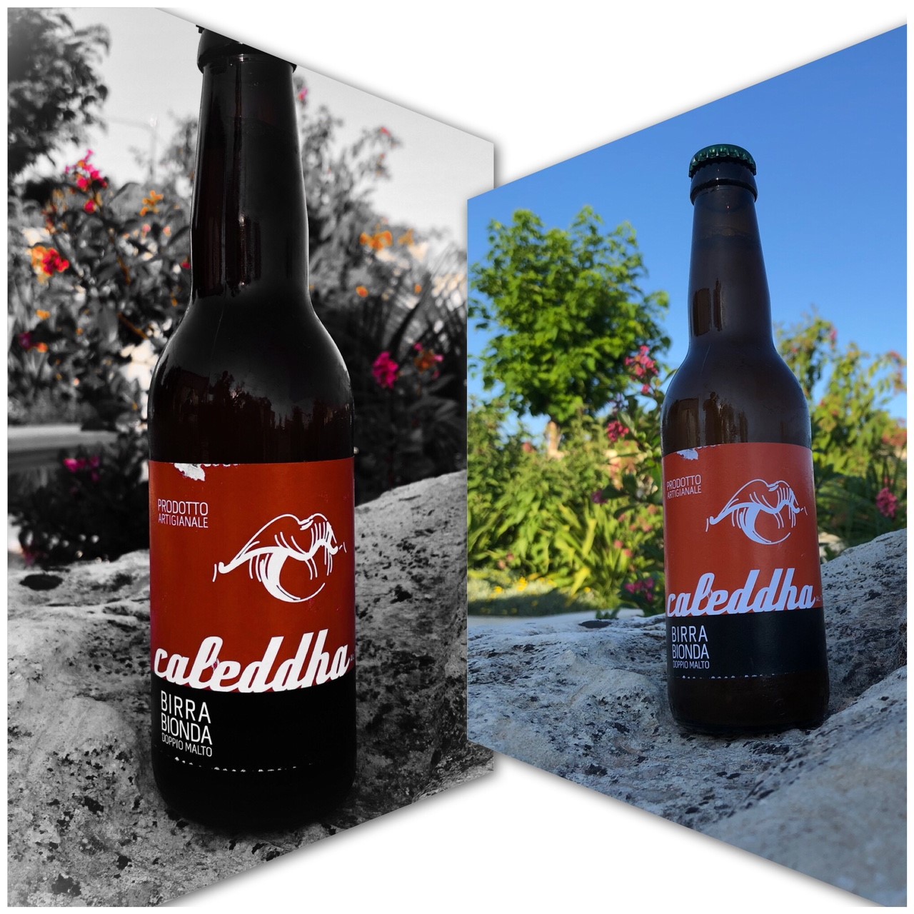 Micorbirrificio Campa Birra Caleddha