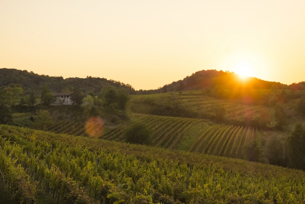 Le colline del Collio