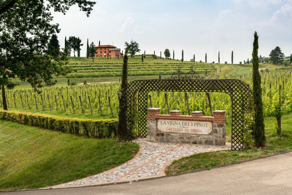 castello di spessa la vigna dei tre pinot