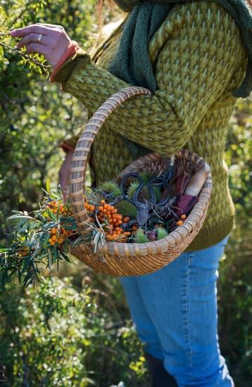 Food forager con il suo raccolto nel cestino. Credits Canva