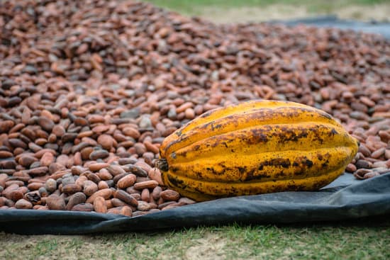 Il cacao crudo è un vero e proprio superfood, che racchiude tanti nutrienti utili per la salute del nostro corpo.